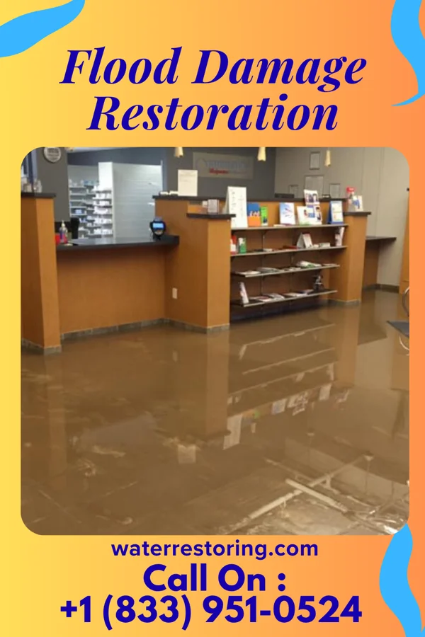 Flood Damage Restoration in Briarwood, KY