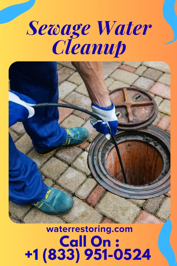 Sewage Water Cleanup in Briarwood, KY